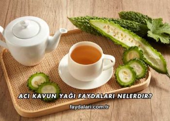 Acı Kavun Yağı Faydaları Nelerdir?