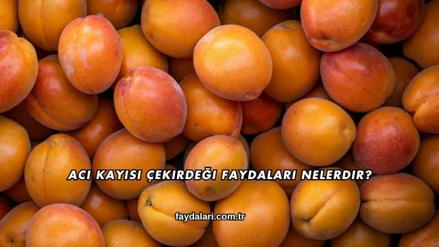 Acı Kayısı Çekirdeği Faydaları Nelerdir?