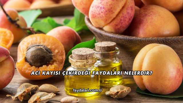 Acı Kayısı Çekirdeği Faydaları Nelerdir?