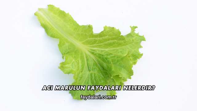Acı Marulun Faydaları Nelerdir?