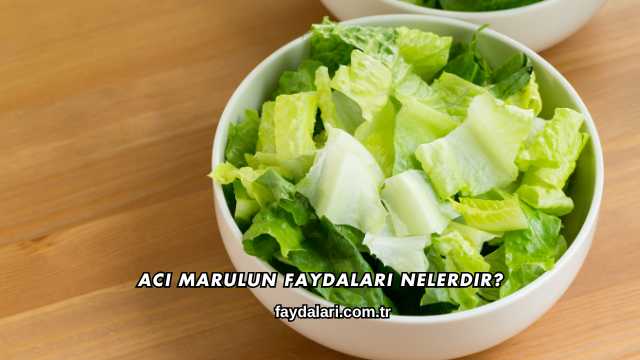 Acı Marulun Faydaları Nelerdir?