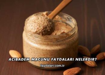 Acıbadem Macunu Faydaları Nelerdir?