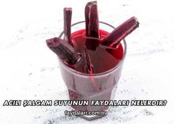 Acılı Şalgam Suyunun Faydaları Nelerdir?