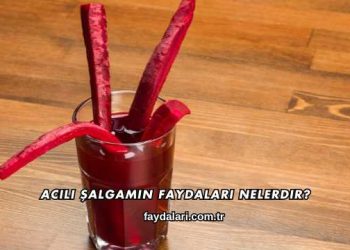 Acılı Şalgamın Faydaları Nelerdir?
