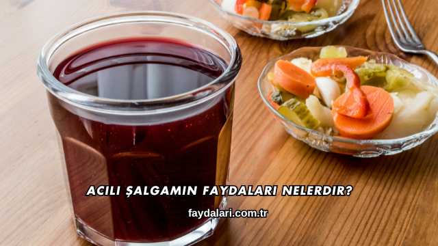 Acılı Şalgamın Faydaları Nelerdir?