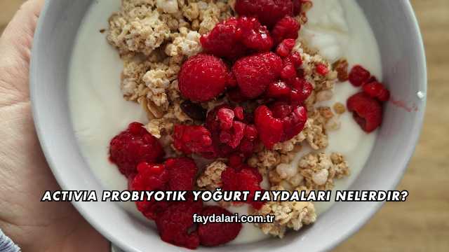 Activia Probiyotik Yoğurt Faydaları Nelerdir?