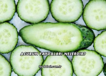 Acurun Faydaları Nelerdir?