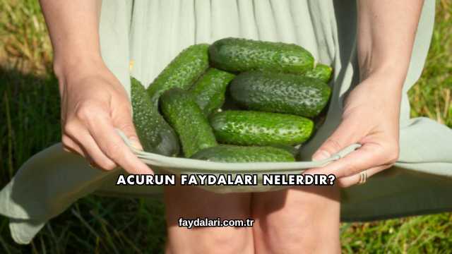 Acurun Faydaları Nelerdir?