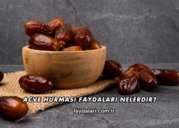Acve Hurması Faydaları Nelerdir?