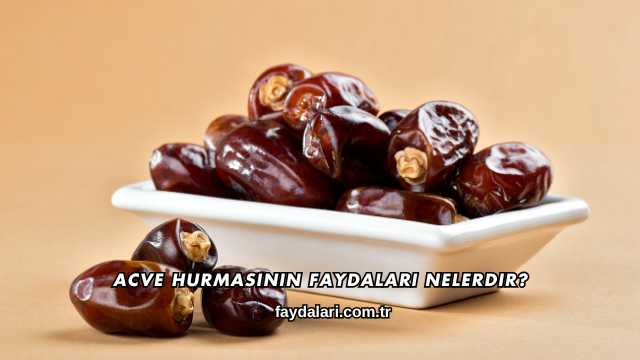 Acve Hurmasının Faydaları Nelerdir?