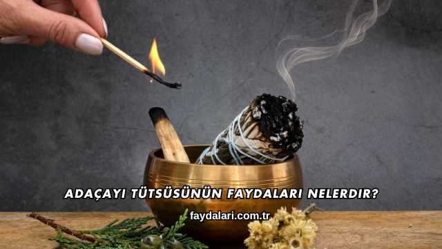 Adaçayı Tütsüsünün Faydaları Nelerdir?