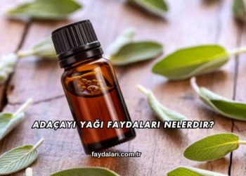 Adaçayı Yağı Faydaları Nelerdir?