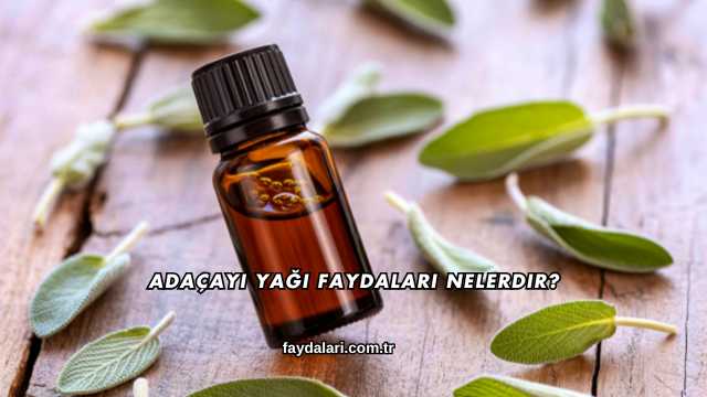 Adaçayı Yağı Faydaları Nelerdir?