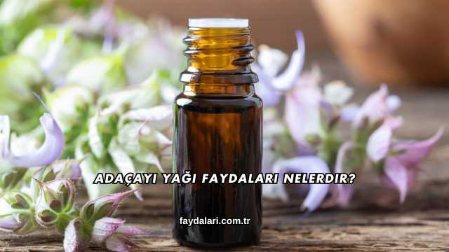 Adaçayı Yağı Faydaları Nelerdir?