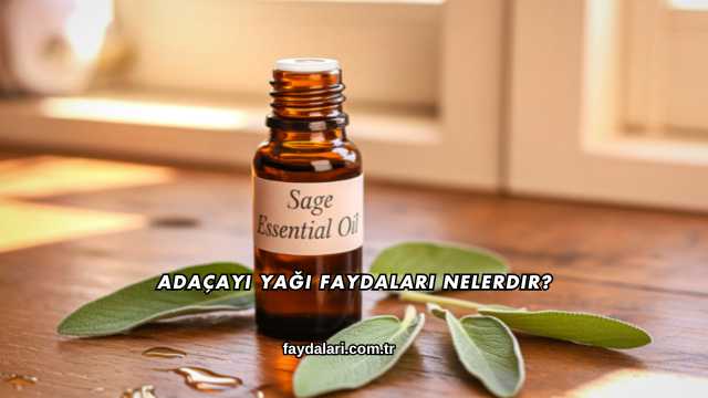 Adaçayı Yağı Faydaları Nelerdir?