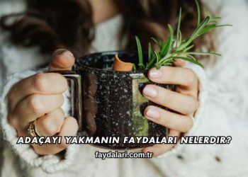 Adaçayı Yakmanın Faydaları Nelerdir?