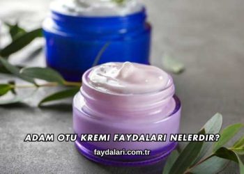 Adam Otu Kremi Faydaları Nelerdir?