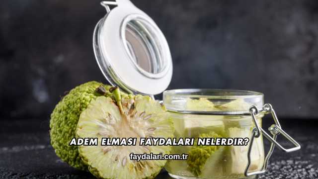 Adem Elması Faydaları Nelerdir?