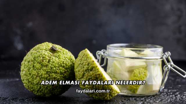Adem Elması Faydaları Nelerdir?