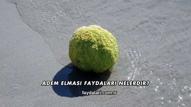 Adem Elması Faydaları Nelerdir?