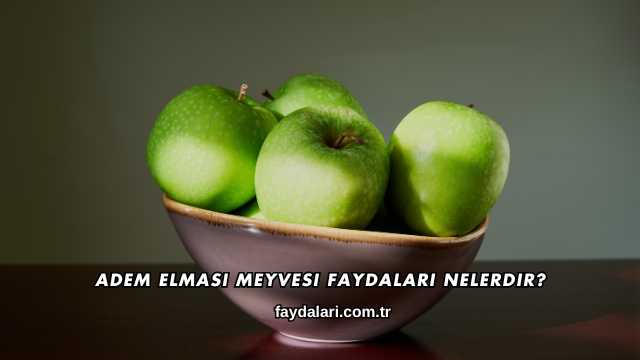Adem Elması Meyvesi Faydaları Nelerdir?