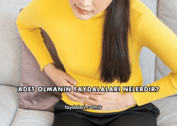 Adet Olmanın Faydalaları Nelerdir?