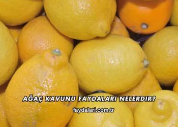 Ağaç Kavunu Faydaları Nelerdir?