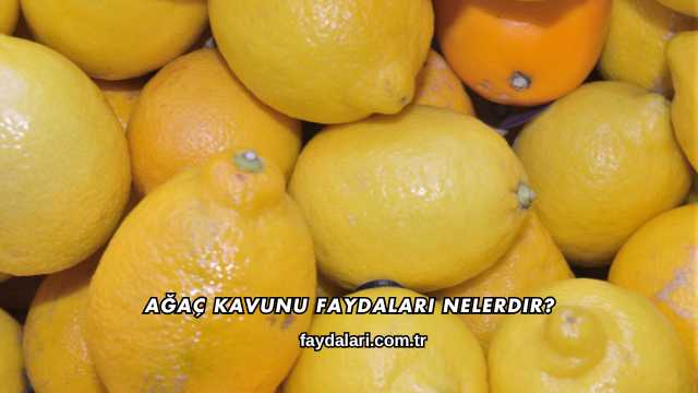 Ağaç Kavunu Faydaları Nelerdir?