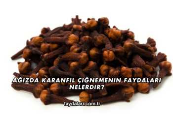 Ağızda Karanfil Çiğnemenin Faydaları Nelerdir?
