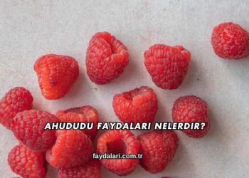 Ahududu Faydaları Nelerdir?