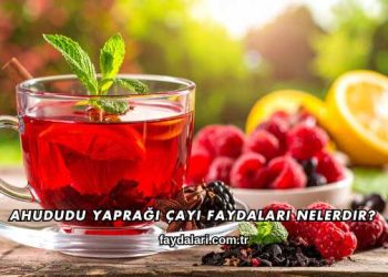 Ahududu Yaprağı Çayı Faydaları Nelerdir?