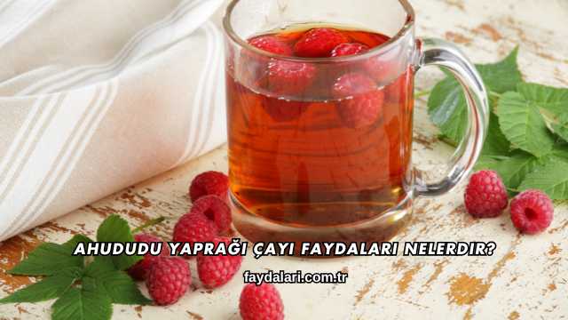 Ahududu Yaprağı Çayı Faydaları Nelerdir?