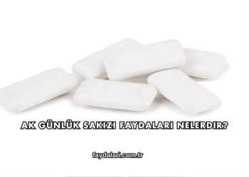 Ak Günlük Sakızı Faydaları Nelerdir?