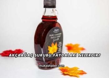 Akçaağaç Şurubu Faydaları Nelerdir?