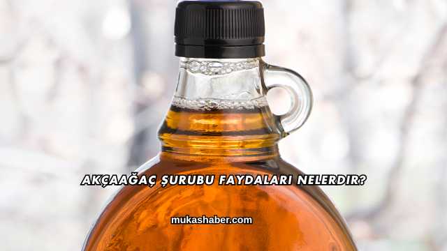 Akçaağaç Şurubu Faydaları Nelerdir?