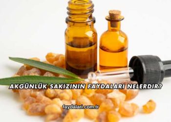 Akgünlük Sakızının Faydaları Nelerdir?