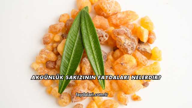 Akgünlük Sakızının Faydaları Nelerdir?