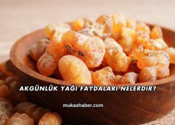 Akgünlük Yağı Faydaları Nelerdir?