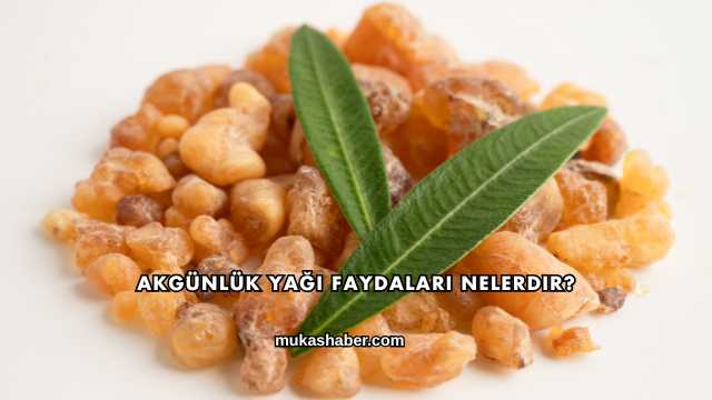 Akgünlük Yağı Faydaları Nelerdir?
