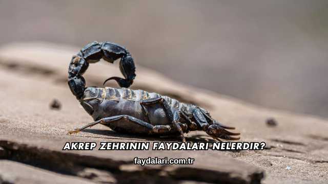 Akrep Zehrinin Faydaları Nelerdir?