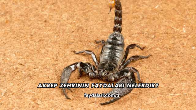 Akrep Zehrinin Faydaları Nelerdir?
