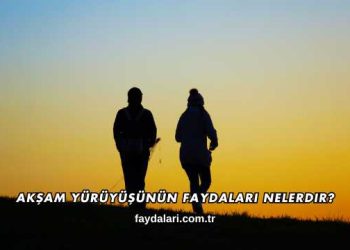 Akşam Yürüyüşünün Faydaları Nelerdir?