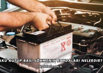 Akü Kutup Başı Sökmenin Faydaları Nelerdir?