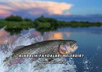 Alabalık Faydaları Nelerdir?