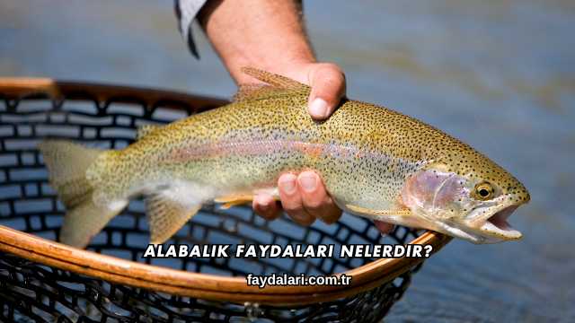 Alabalık Faydaları Nelerdir?