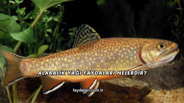 Alabalık Yağı Faydaları Nelerdir?