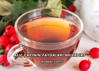 Alıç Çayının Faydaları Nelerdir?
