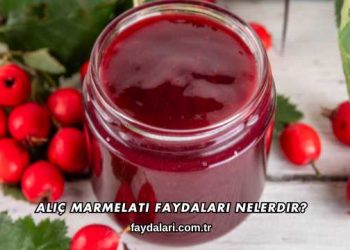 Alıç Marmelatı Faydaları Nelerdir?