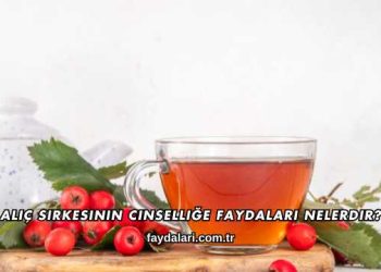 Alıç Sirkesinin Cinselliğe Faydaları Nelerdir?