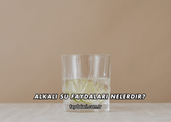 Alkali Su Faydaları Nelerdir?